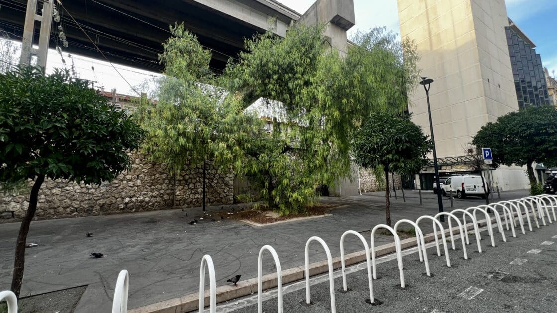 Nice : un grand projet immobilier pour ce boulevard historique du centre-ville ? Christian Estrosi dévoile son ambition pour Raimbaldi 3 nice raimbaldi 2